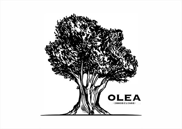 Olea Immobiliare